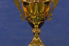 Der-begeehrte-Pokal