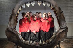 die-Nationalmannschaft-im-Haifischmaul